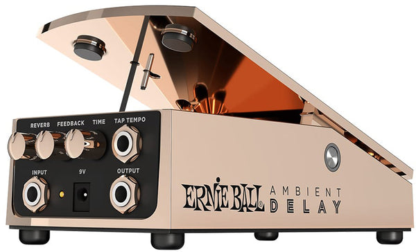 Ernie Ball Ambient Delay Pedal – Sound Centre