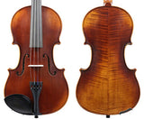 Raggetti RV7AE Violin Outfit