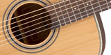 Takamine  GD20 Acoustic Guitar - Natural Satin