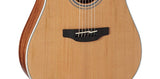 Takamine  GD20CE Acoustic Electric Guitar - Natural Satin