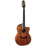 Takamine Limited Edition Series 