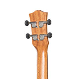 MOJO MCU-T5P-NST Concert thinline Ukelele with pickup