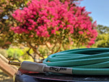 Pig Hog PCH10SGR "Seafoam Green" Instrument Cable 10ft RA