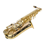 Steinhoff KSO-AS20-GLD Alto Sax w/ Case - Gold