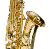 Steinhoff KSO-AS20-GLD Alto Sax w/ Case - Gold