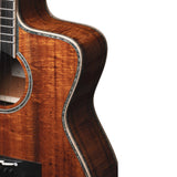 Takamine Limited Edition Series "The 60th" Anniversary Model Guitar with Hardcase in Natural Gloss Finish