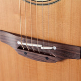 Takamine TEN20  Jumbo Acoustic guitar with pickup