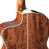 Takamine Limited Edition Series 2022 "60th Anniversary" AC/EL Guitar with Hardcase in Burnt Sienna Tint Gloss Finish