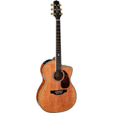 Takamine Limited Edition Series 2022 