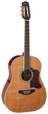 Takamine Thermal Top Series Round Shoulder Acoustic-Electric Guitar