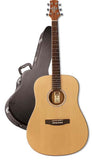 Ashton D20 Acoustic Guitar Pack With Case