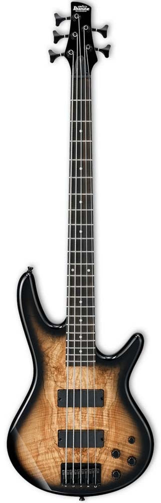 Ibanez SR205SM 5 String Bass Guitar - Natural Gray Burst