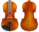 Raggetti RV2 Violin Outfit